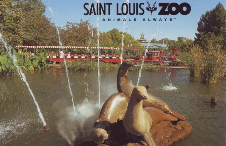 St. Louis Zoological Park - All Parking and Information Here